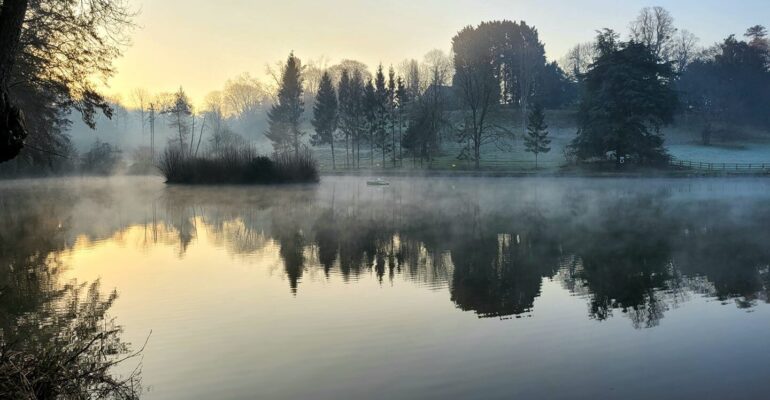 The Gall Pond, Tortworth